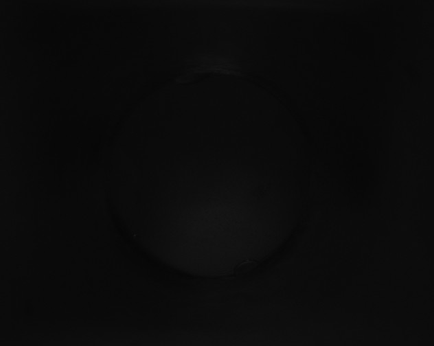 X0000115150007200911101738
