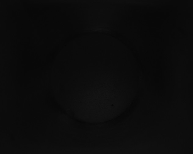 X0000115150013200911101738