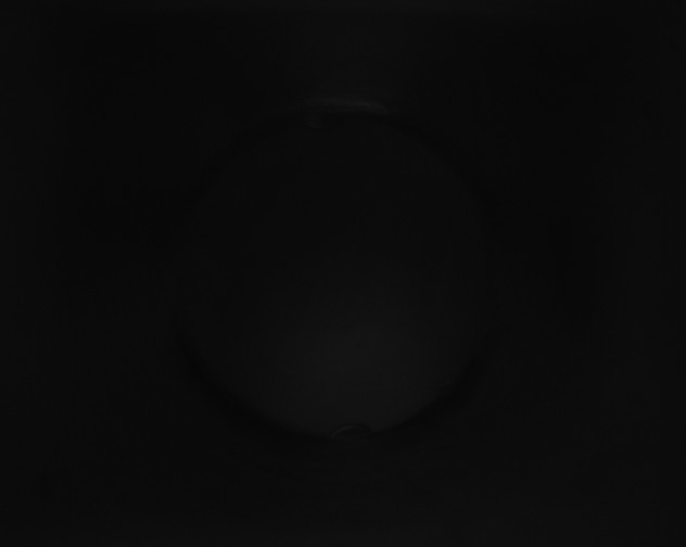 X0000115150015200911101738