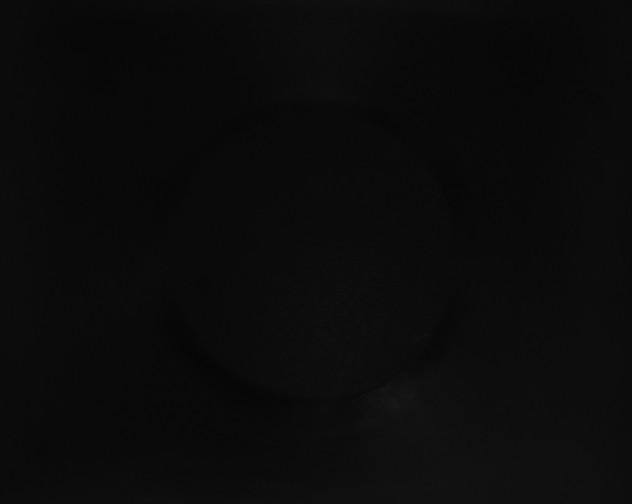 X0000115150024200911101738