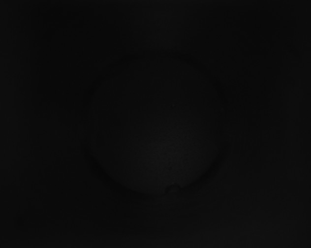 X0000115150038200911101738