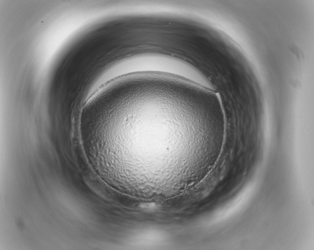 X0000115150050200911101737