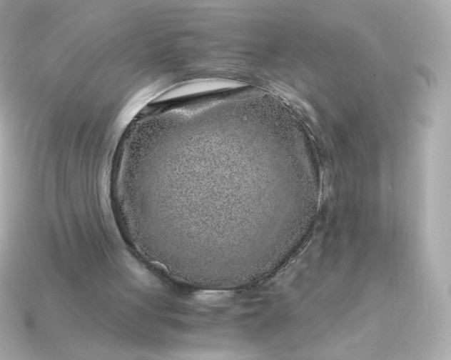 X0000115150051200911101737