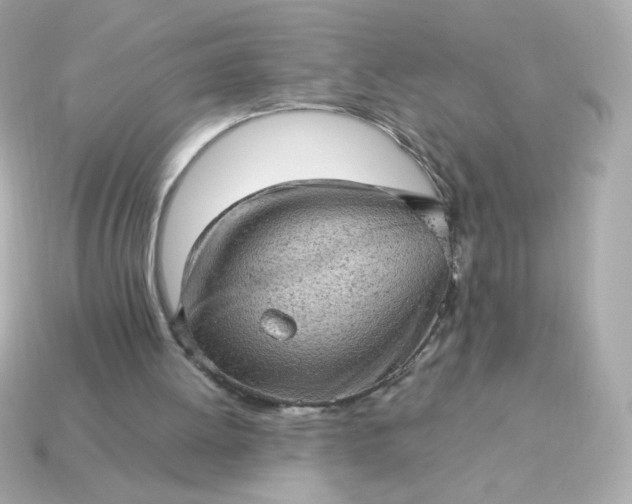 X0000115150052200911101737