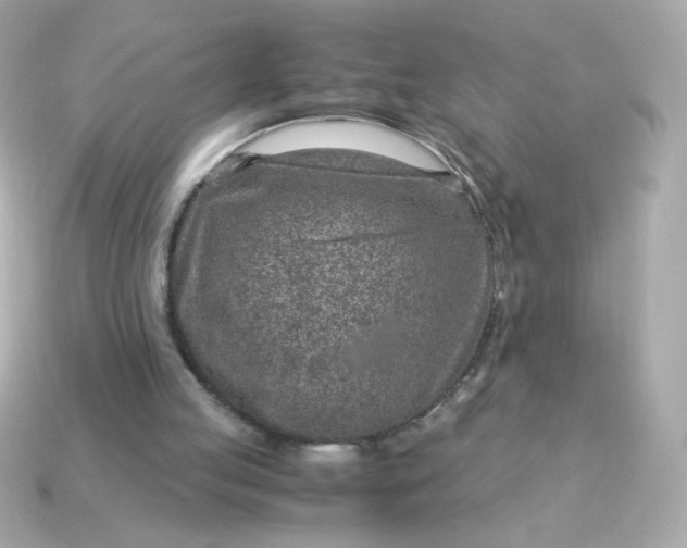 X0000115150053200911101737