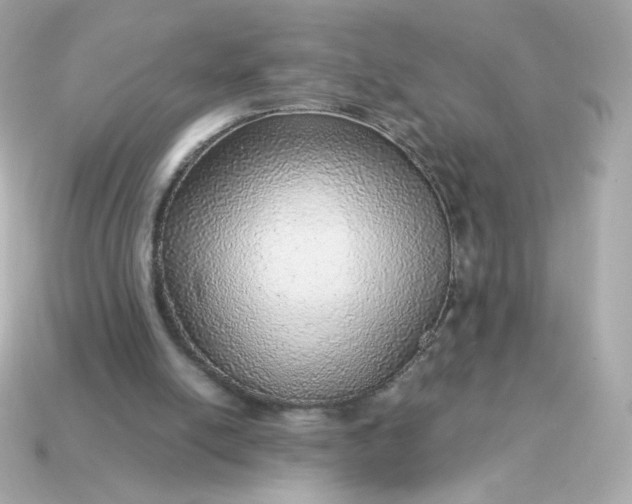 X0000115150054200911101737