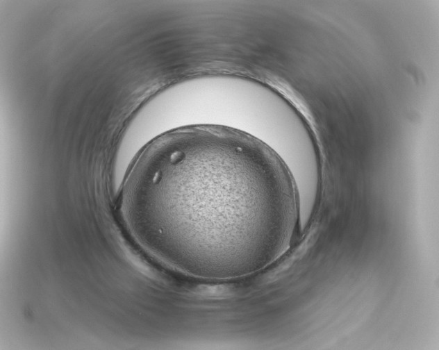 X0000115150057200911101737