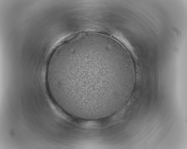 X0000115150058200911101737