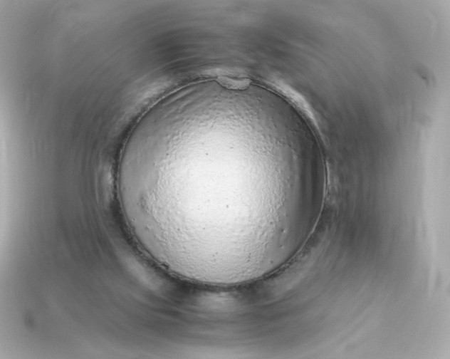 X0000115150061200911101737