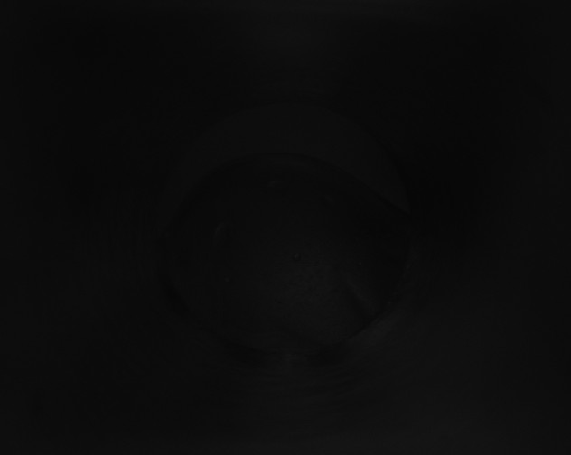 X0000115150096200911101738