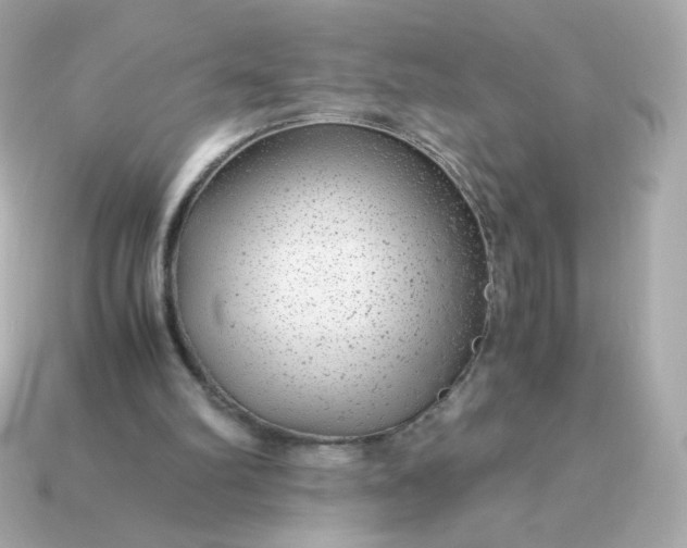 X0000115150102200911101737