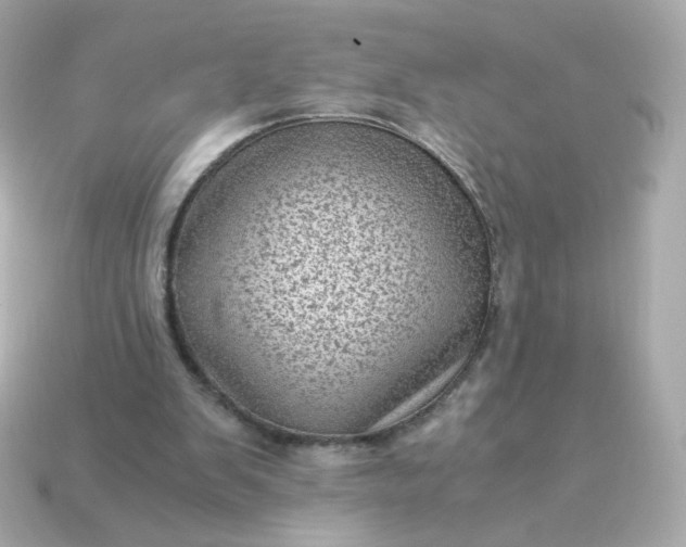 X0000115150103200911101737