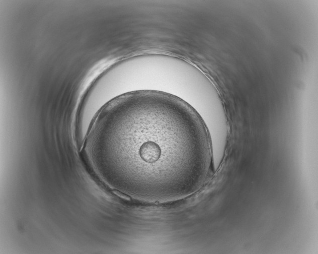 X0000115150104200911101737