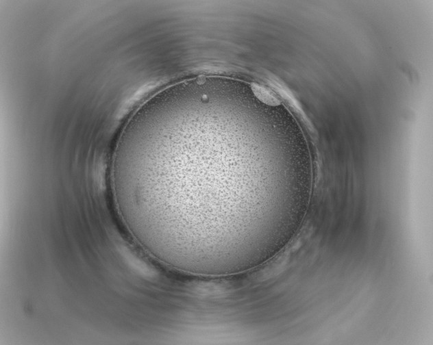 X0000115150106200911101737