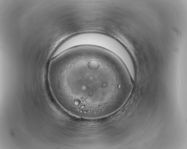 X0000115150107200911101737