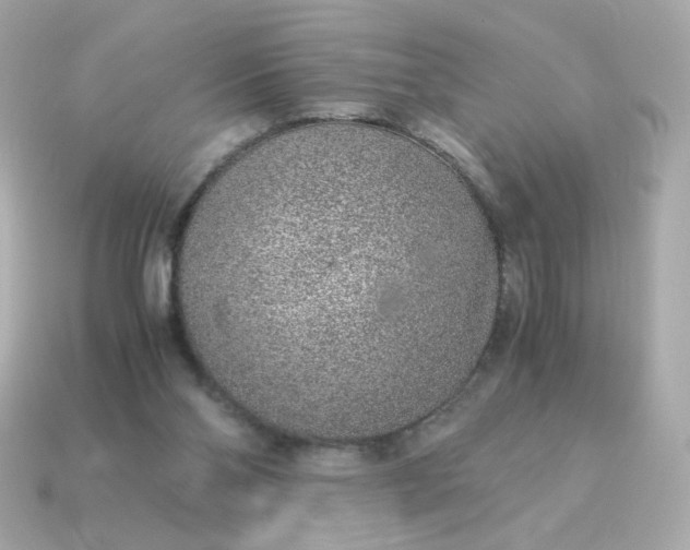 X0000115150110200911101737