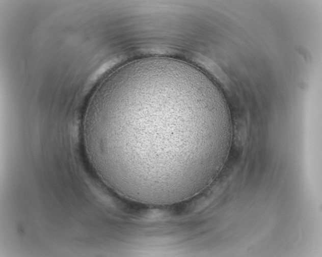 X0000115150111200911101737