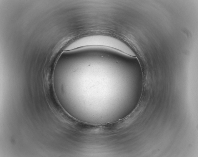X0000115150116200911101737