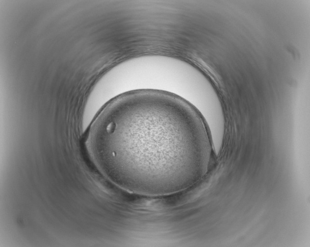 X0000115150117200911101737