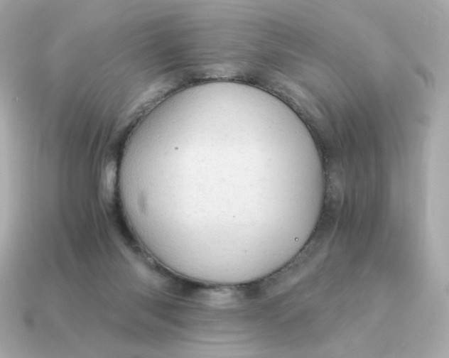 X0000115150118200911101737