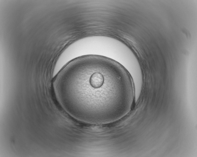 X0000115150121200911101737