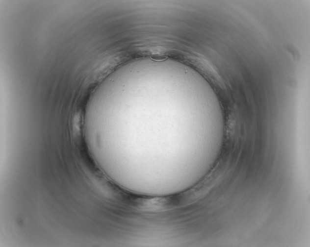 X0000115150122200911101737