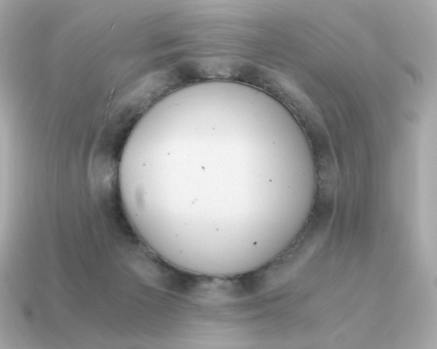 X0000115150125200911101737