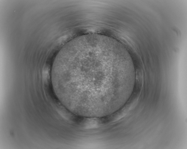 X0000115150127200911101737