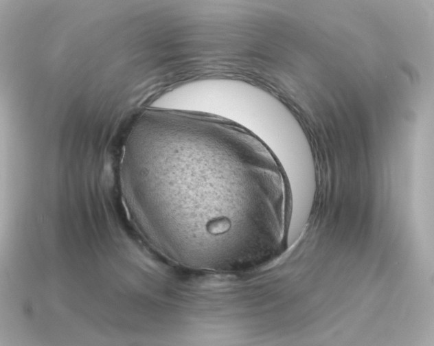 X0000115150128200911101737