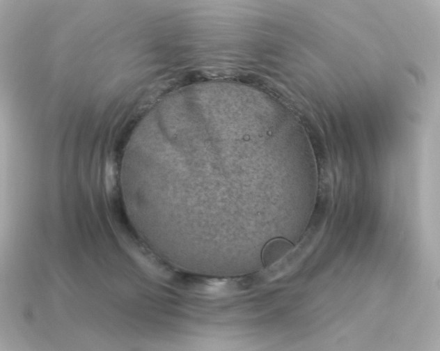 X0000115150130200911101737