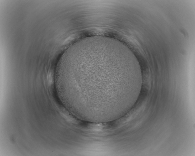 X0000115150131200911101737