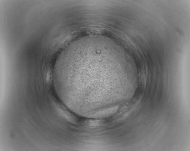 X0000115150134200911101737
