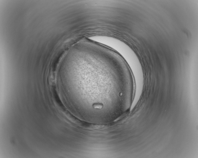 X0000115150137200911101737