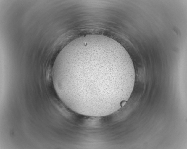 X0000115150138200911101737