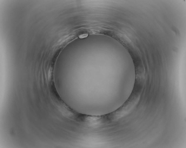 X0000115150139200911101737