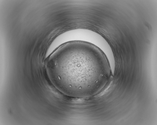 X0000115150140200911101736