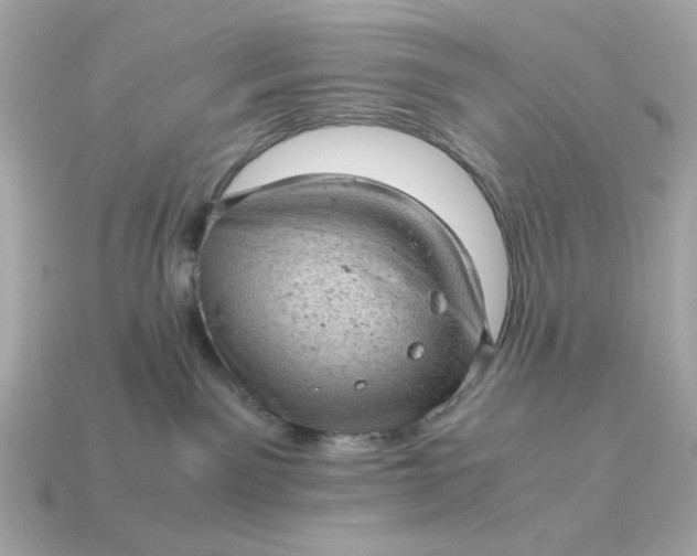 X0000115150141200911101736