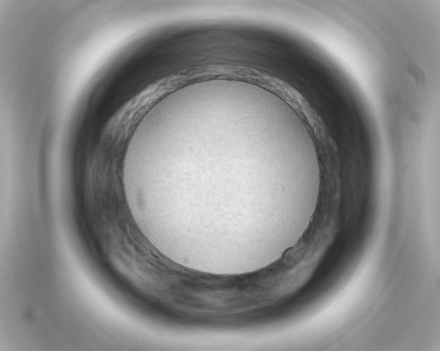 X0000115150142200911101736