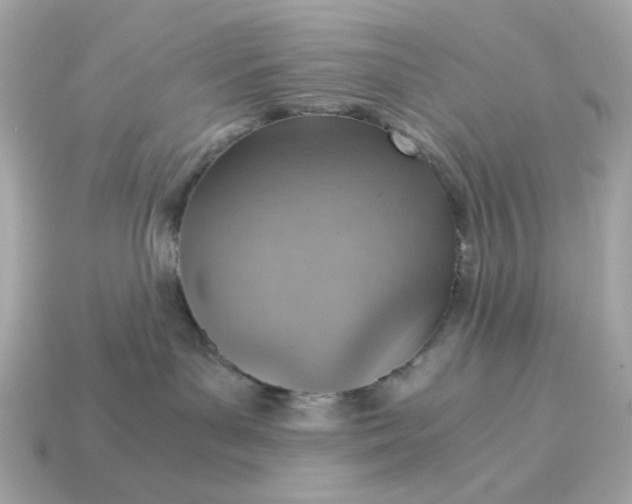 X0000115150143200911101736