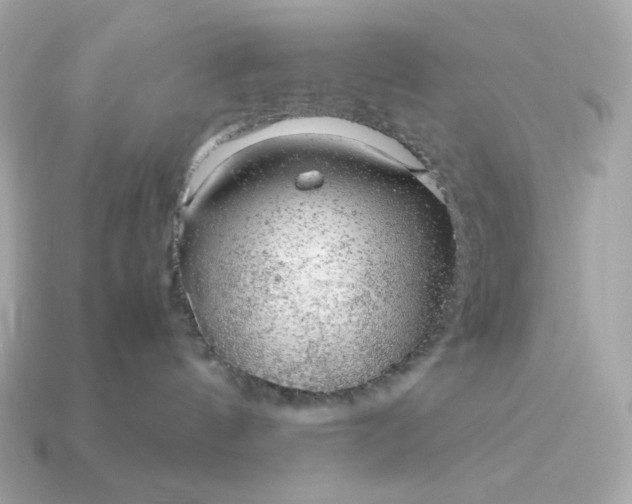 X0000115150144200911101736
