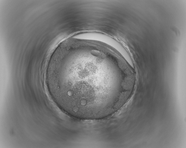 X0000115150145200911101736