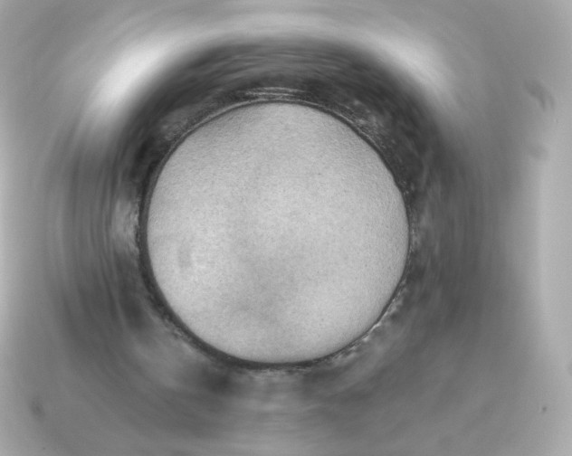 X0000115150146200911101736