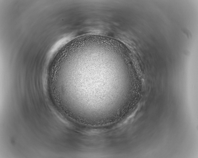 X0000115150149200911101736