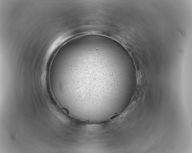 X0000115150150200911101736