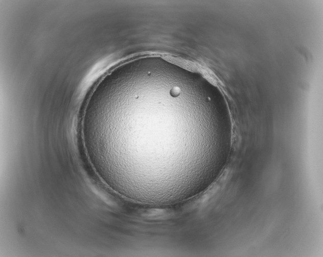 X0000115150151200911101736