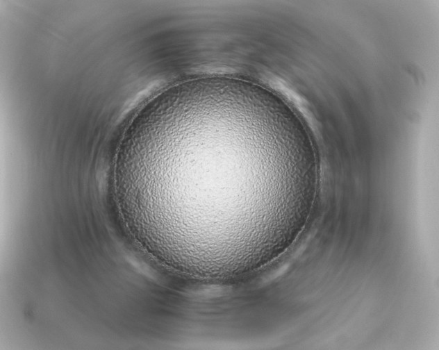 X0000115150153200911101736