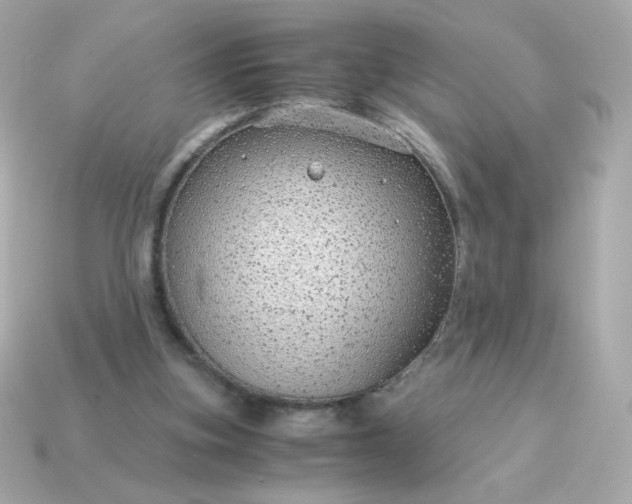 X0000115150155200911101736