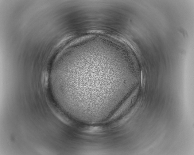 X0000115150157200911101736