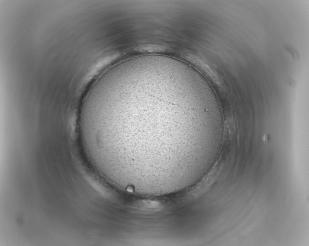 X0000115150159200911101736