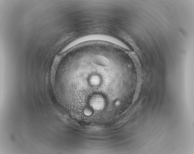 X0000115150161200911101736